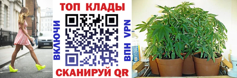 Цена Петропавловск-Камчатский Галлюциногенные грибы Кокаин Альфа ПВП Мефедрон Конопля