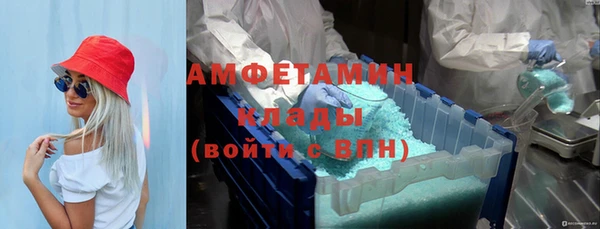 мдпв Богданович