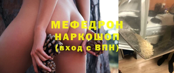 мдпв Богданович
