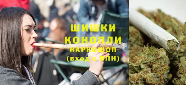 гашик Богородск